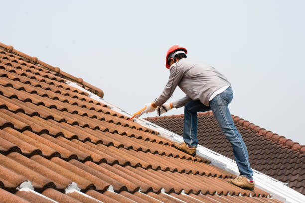 Best Storm Damage Roof Repair  in USA